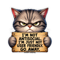 Cat with an Attitude