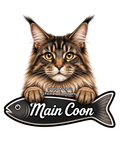 Main Coon, Cat