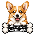 Pembroke Welsh Corgi