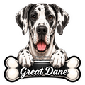 Great Dane