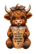 Highland Cow