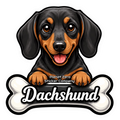 Dachshund