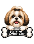 Shih Tzu
