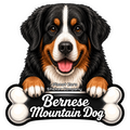 Bernese Mountain Dog