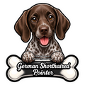 German Shorthaired Pointer