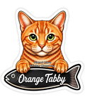 Orange Tabby, Cat