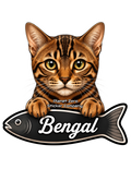 Bengal, Cat