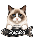 Ragdoll, Cat