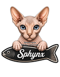 Sphynx, Cat